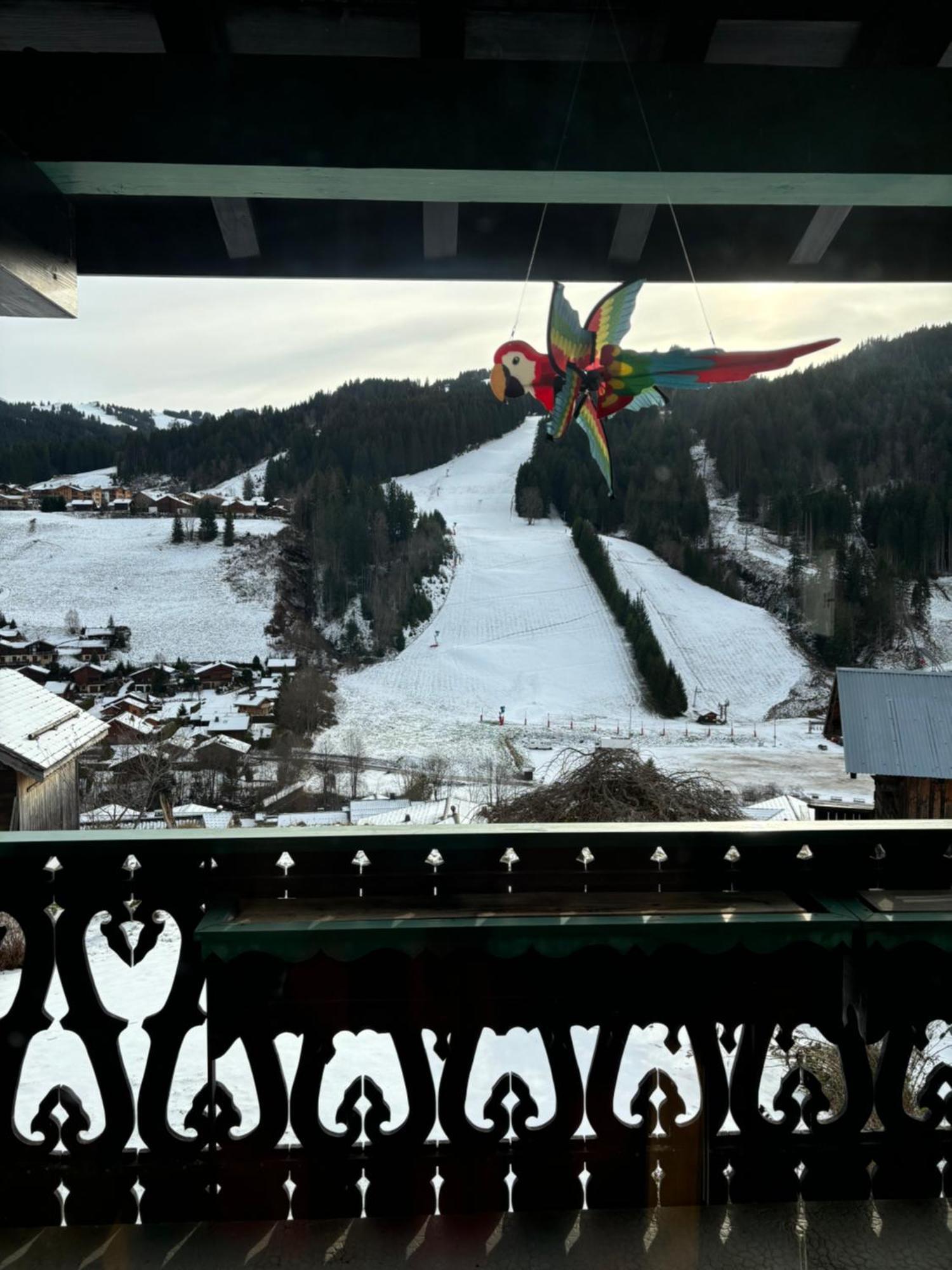 Chalet Fleur Des Alpes Les Gets Exterior foto